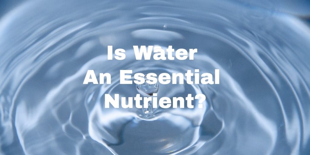 Is Water An Essential Nutrient