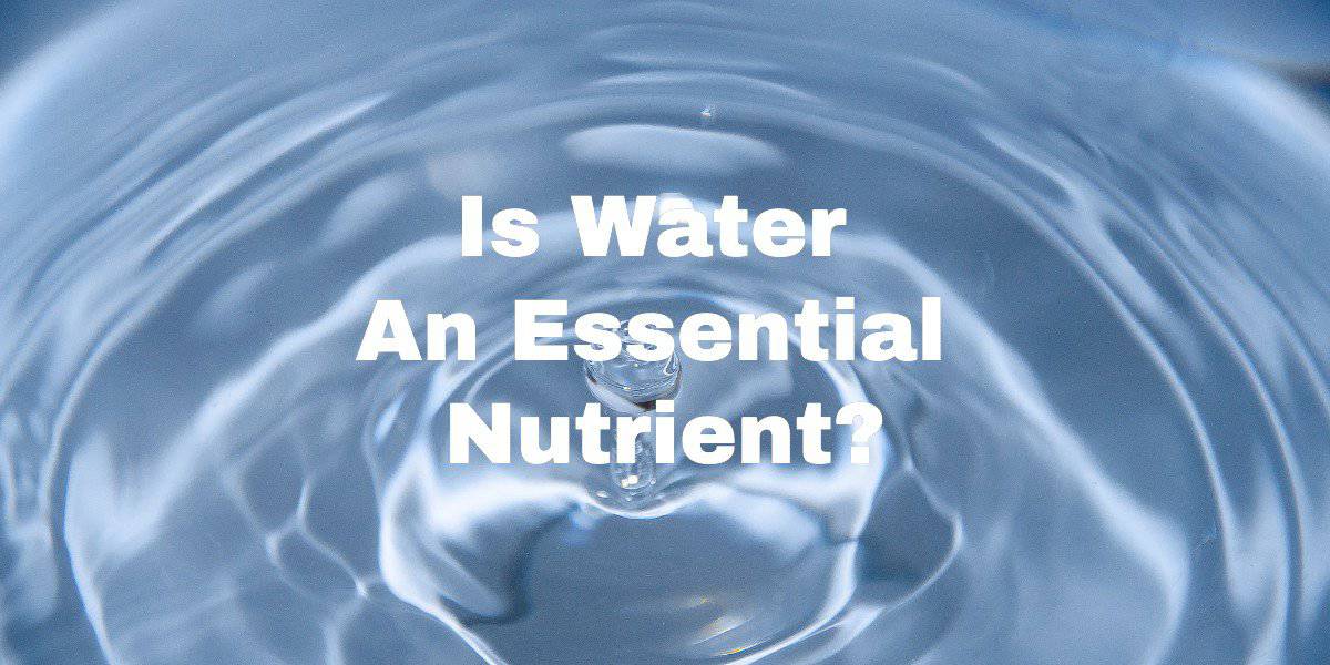 Is Water An Essential Nutrient