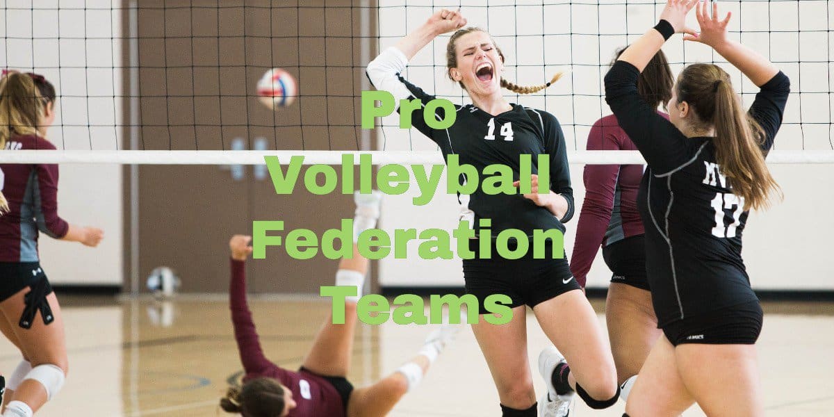 Pro Volleyball Federation Teams