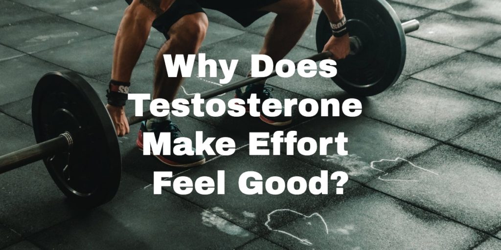 Why Does Testosterone Make Effort Feel Good